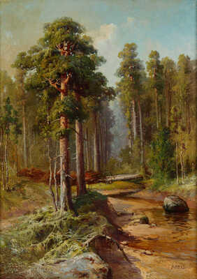 Апсит Александр Петрович. В лесу. Поваленное дерево